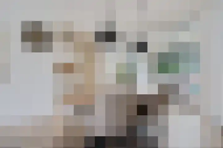 Heidewal 23 Erica thumbnail 10