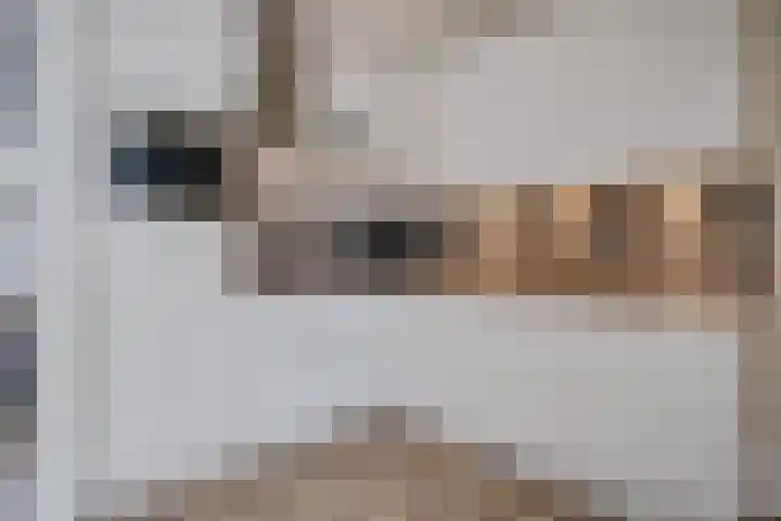 Heidewal 23 Erica thumbnail 13