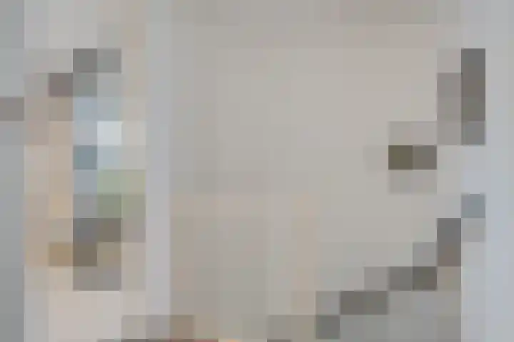 Heidewal 23 Erica thumbnail 17