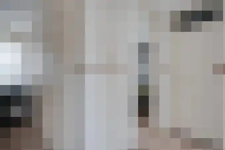 Heidewal 23 Erica thumbnail 18