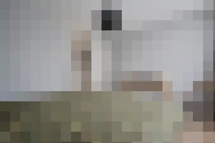 Heidewal 23 Erica thumbnail 21