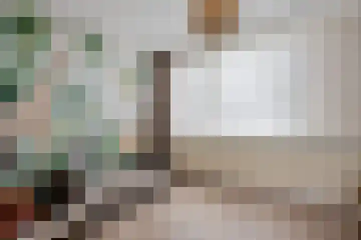 Heidewal 23 Erica thumbnail 22