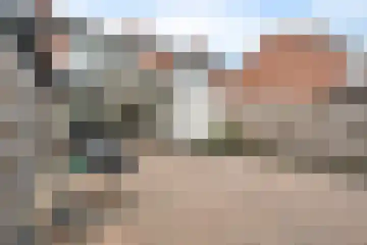 Heidewal 23 Erica thumbnail 28