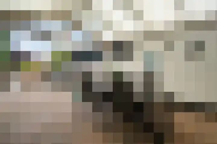 Heidewal 23 Erica thumbnail 29