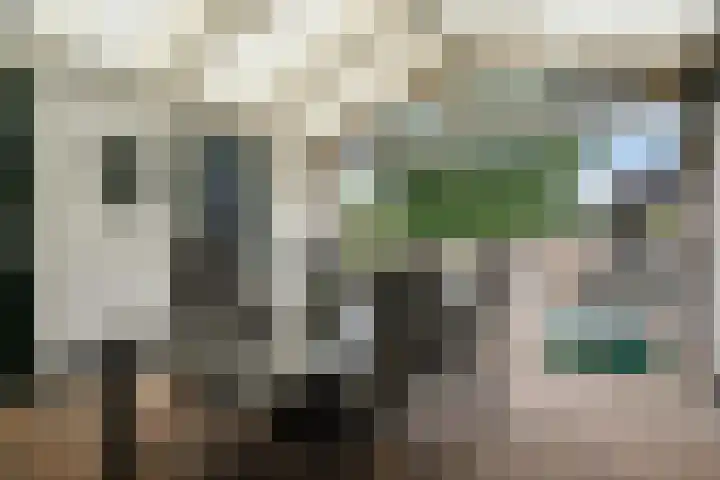 Heidewal 23 Erica thumbnail 30