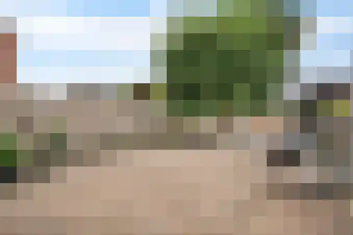 Heidewal 23 Erica thumbnail 32