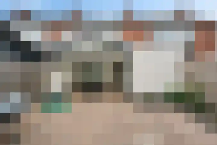 Heidewal 23 Erica thumbnail 33