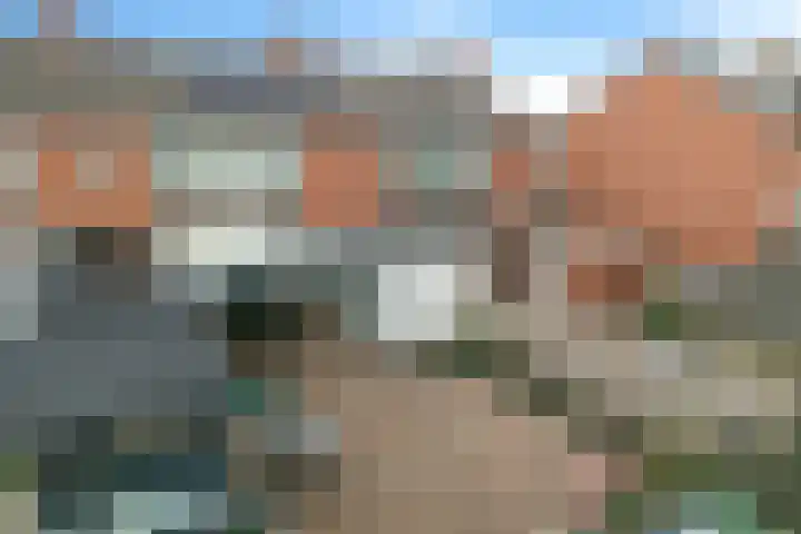 Heidewal 23 Erica thumbnail 34