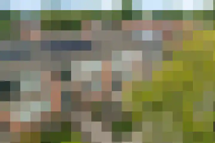 Heidewal 23 Erica thumbnail 36