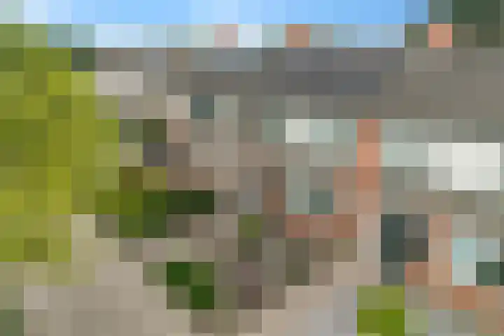 Heidewal 23 Erica thumbnail 37
