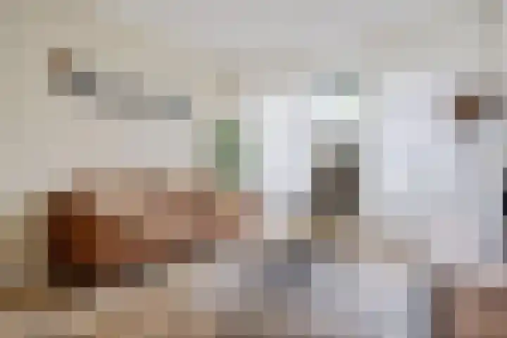 Heidewal 23 Erica thumbnail 6
