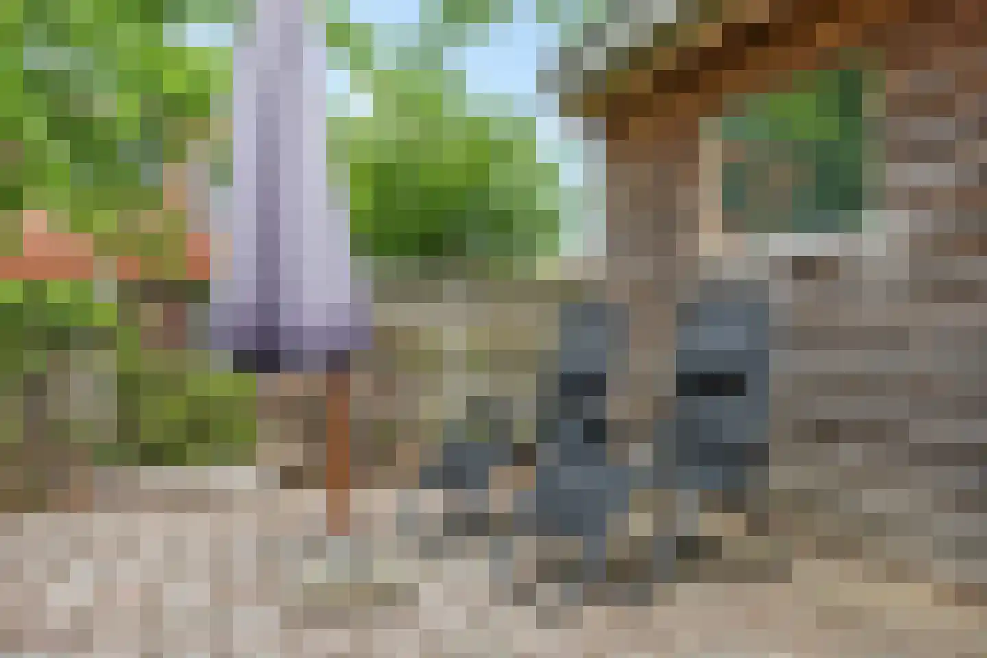 Heidewal 48 Erica thumbnail 31