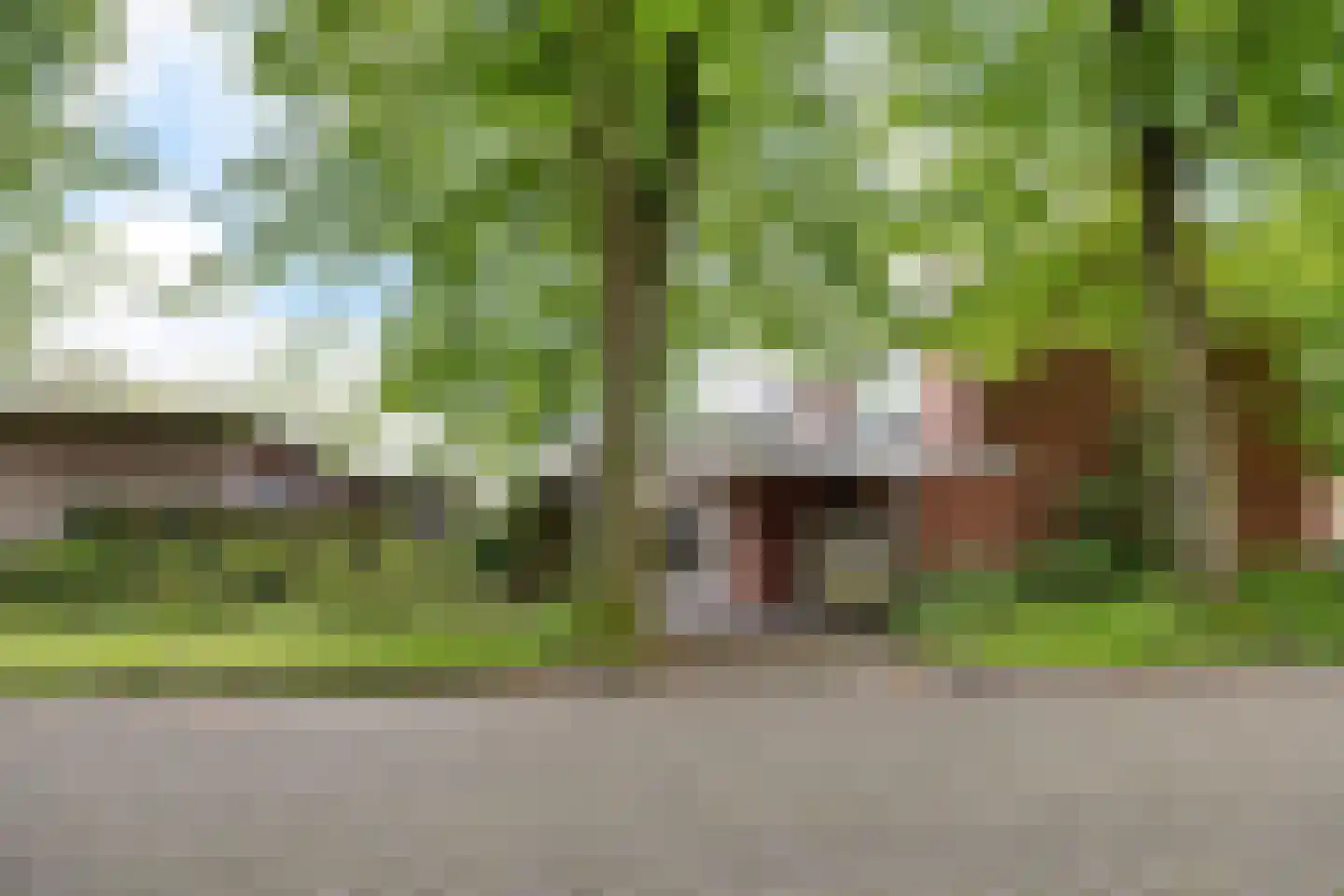 Heidewal 48 Erica thumbnail 32