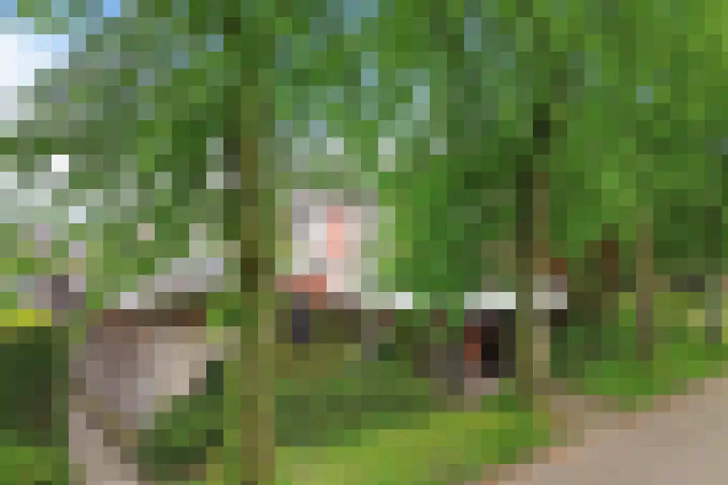 Heidewal 48 Erica thumbnail 34