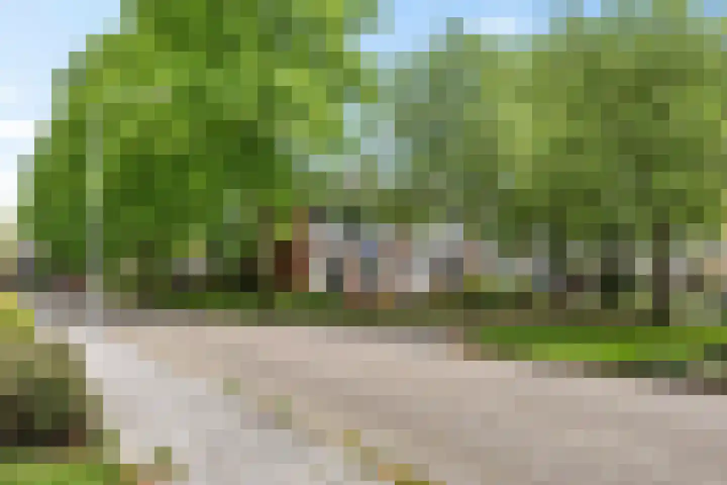 Heidewal 48 Erica thumbnail 35