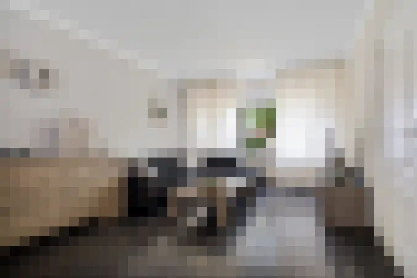 Heidewal 48 Erica thumbnail 6