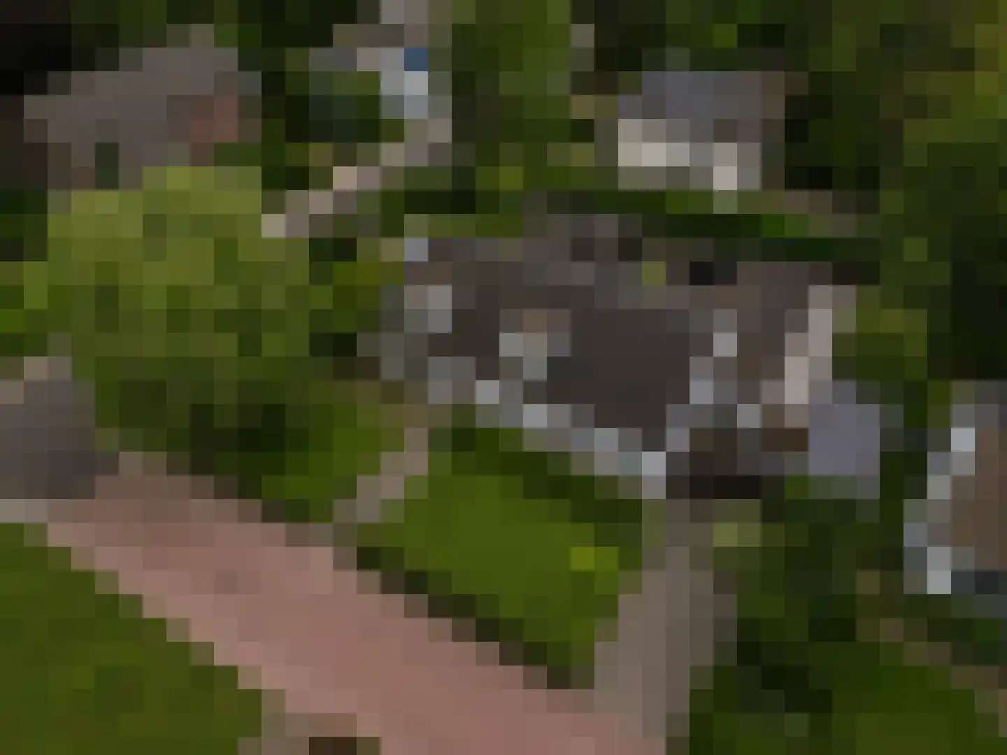 Heideweg 1 Valkenburg thumbnail 43
