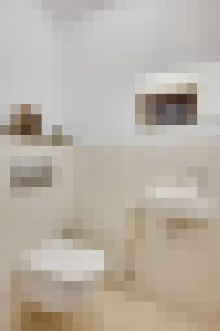 Heideweg 12 Heel thumbnail 12