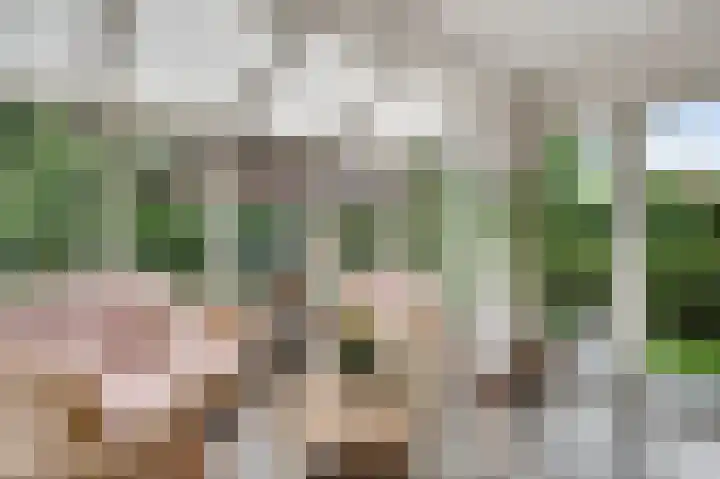 Heideweg 12 Heel thumbnail 17