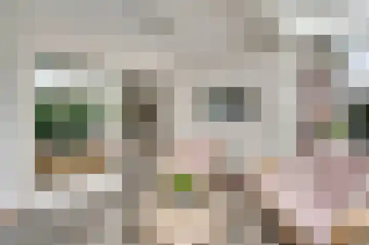 Heideweg 12 Heel thumbnail 18