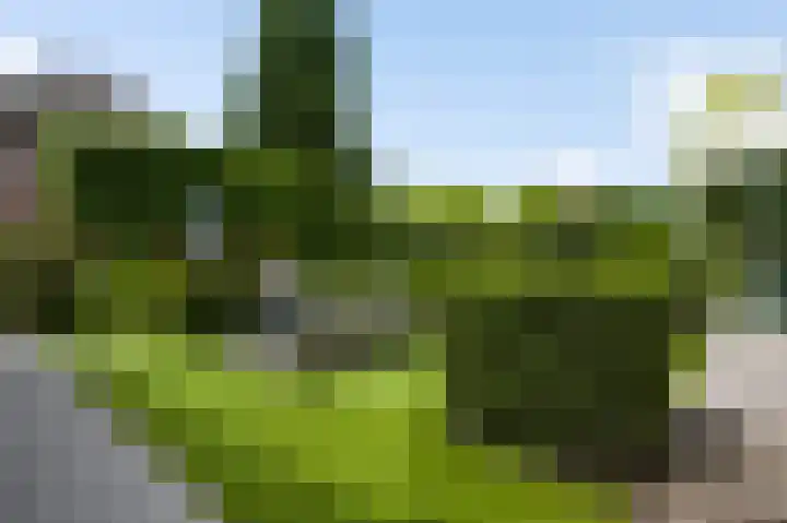 Heideweg 12 Heel thumbnail 30