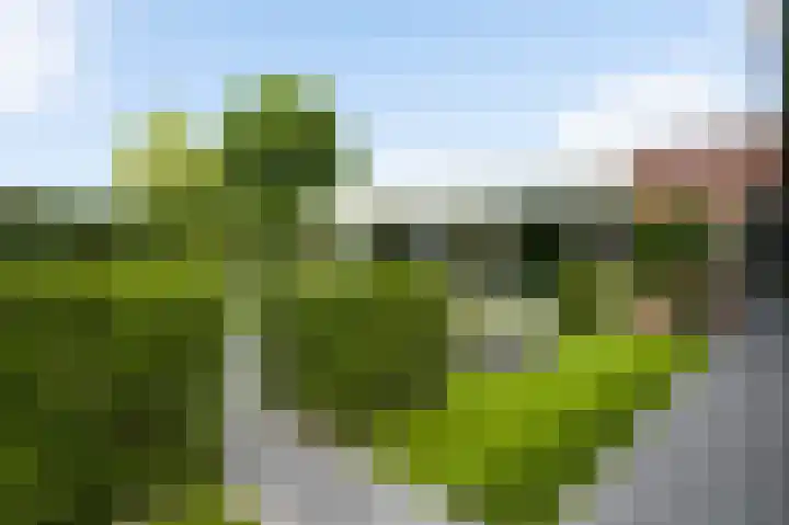 Heideweg 12 Heel thumbnail 31