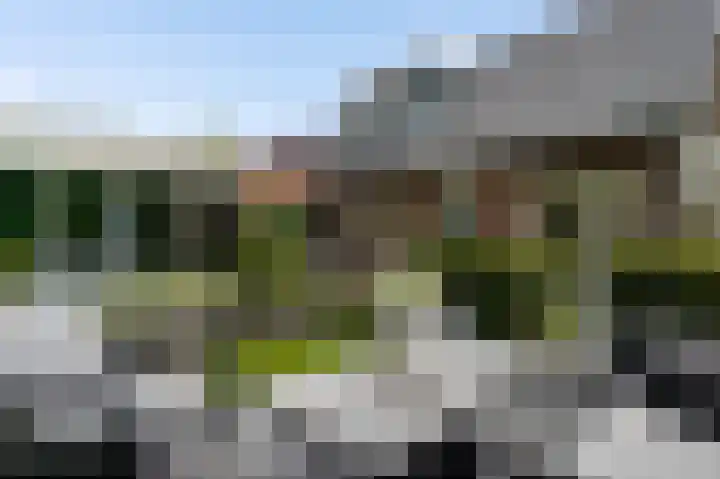 Heideweg 12 Heel thumbnail 32