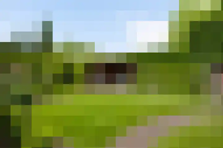 Heideweg 12 Heel thumbnail 35