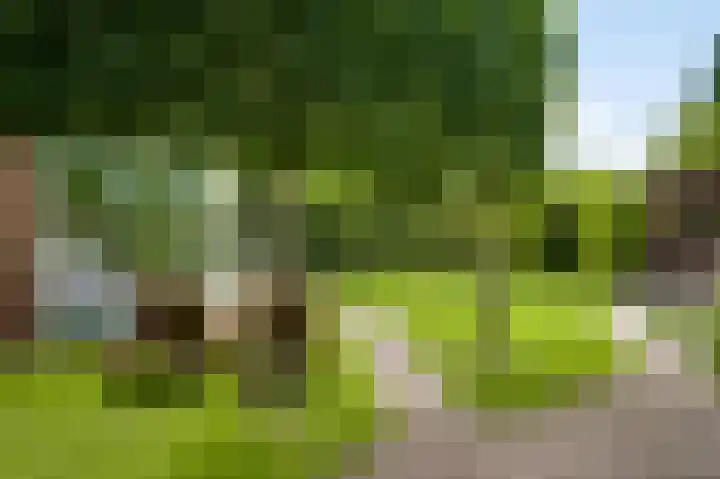 Heideweg 12 Heel thumbnail 38