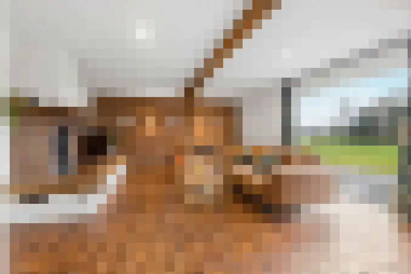 Heideweg 13 Didam thumbnail 15