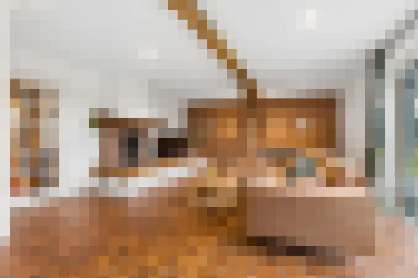Heideweg 13 Didam thumbnail 16