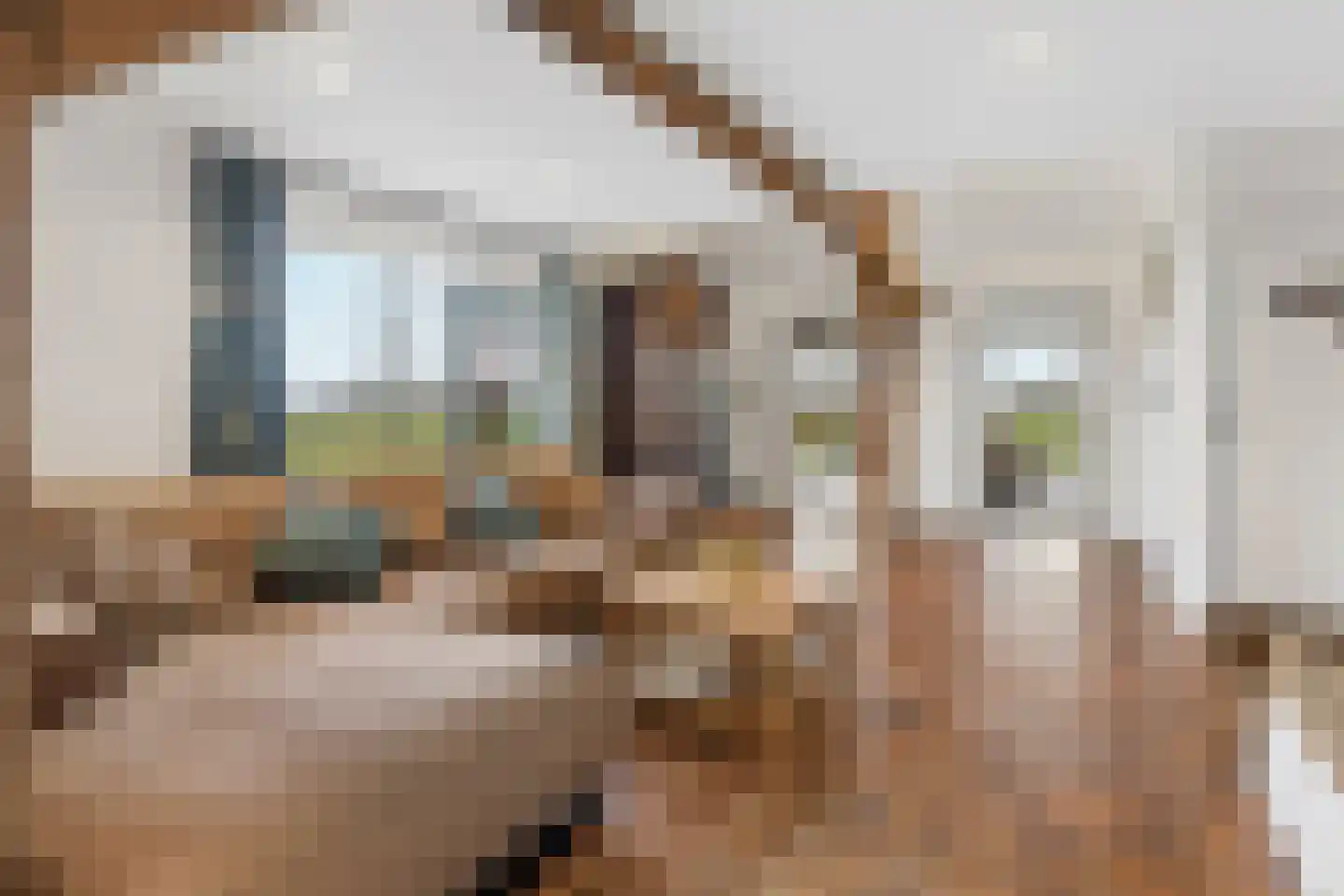 Heideweg 13 Didam thumbnail 17
