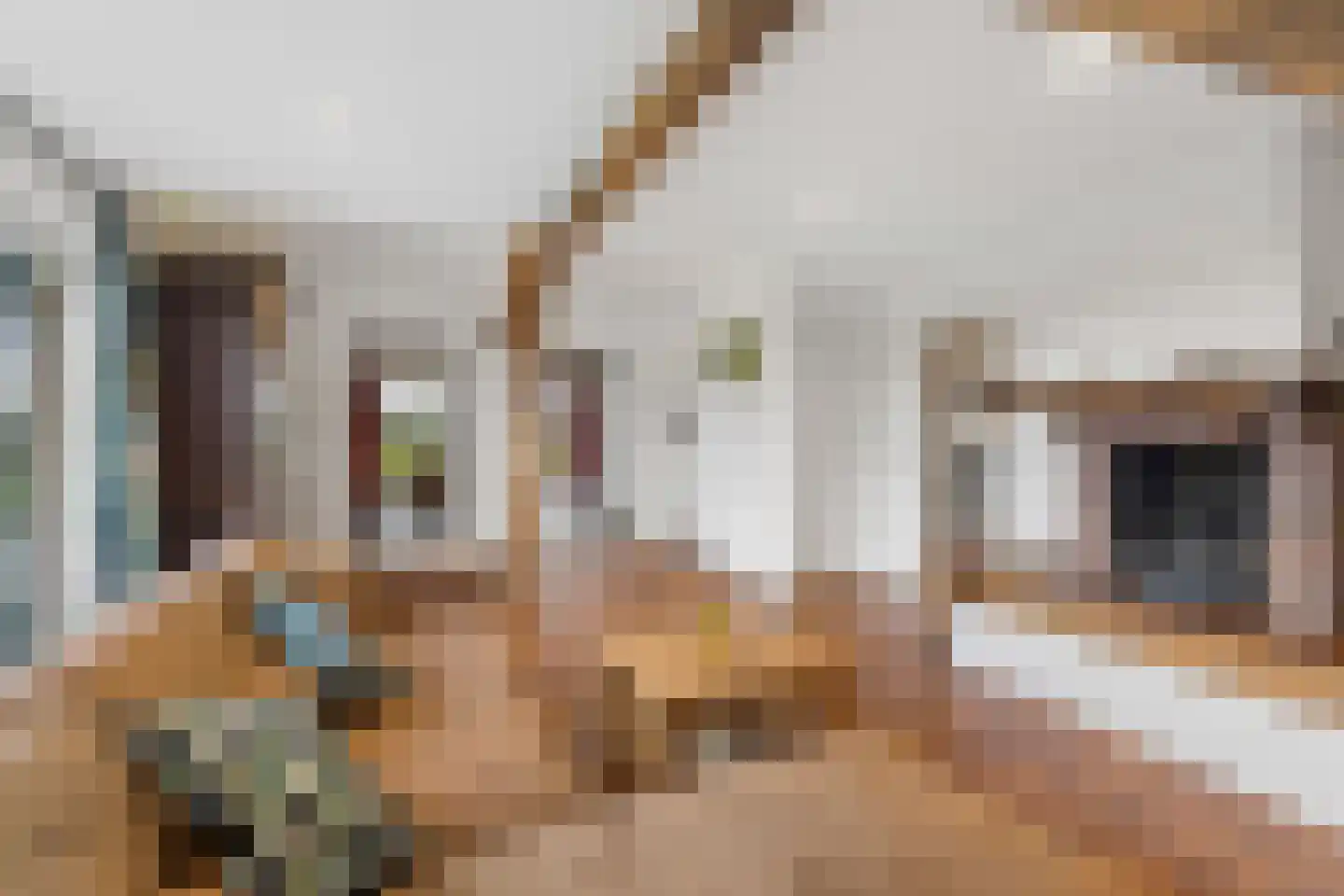 Heideweg 13 Didam thumbnail 18