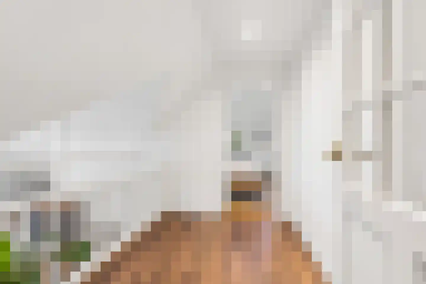 Heideweg 13 Didam thumbnail 39