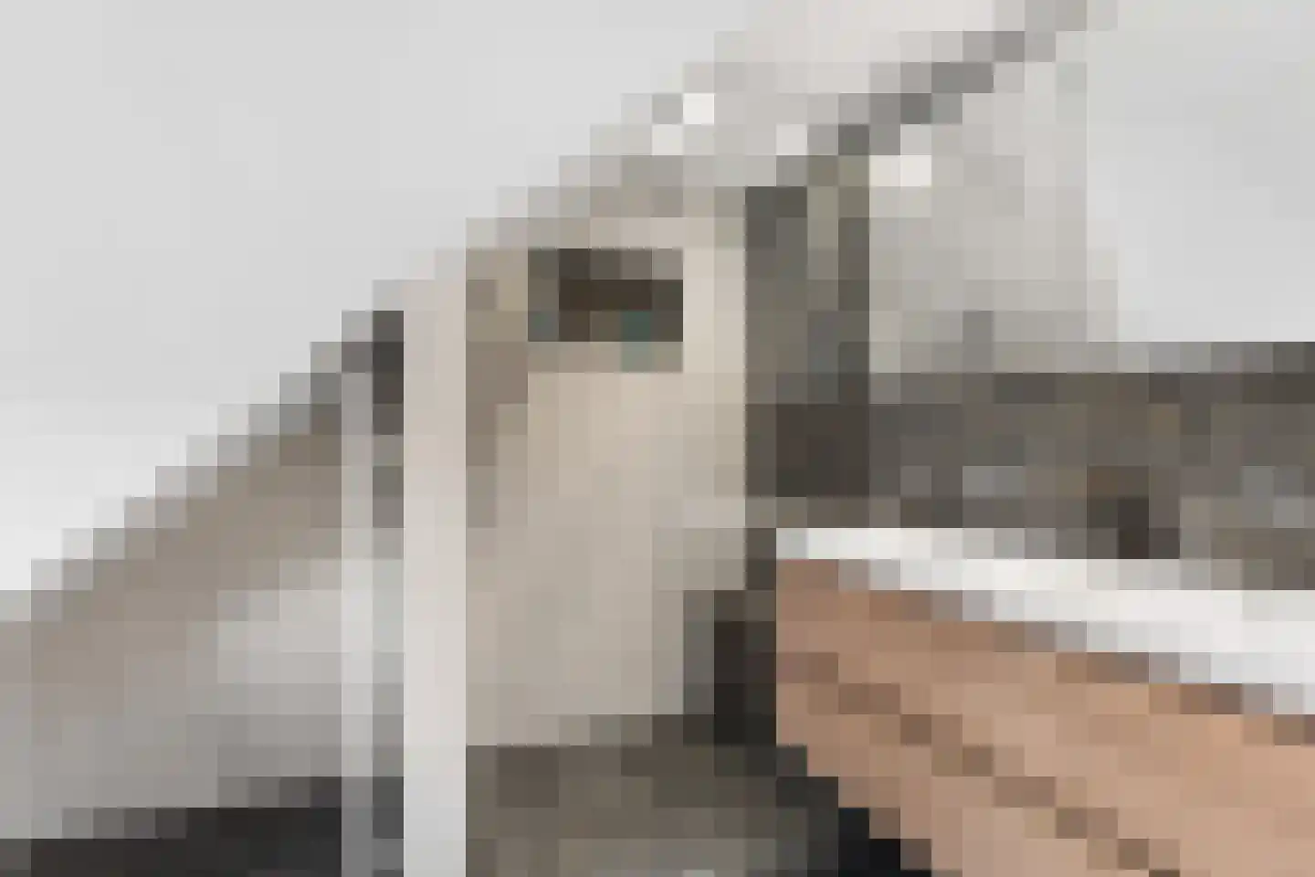 Heideweg 13 Didam thumbnail 46