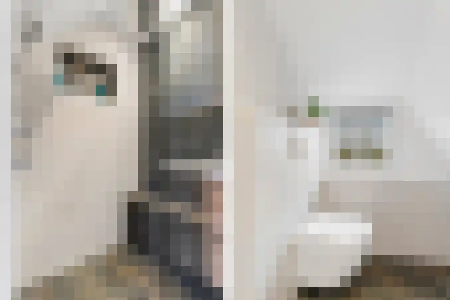 Heideweg 13 Didam thumbnail 48