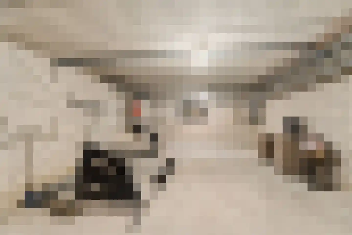 Heideweg 13 Didam thumbnail 53
