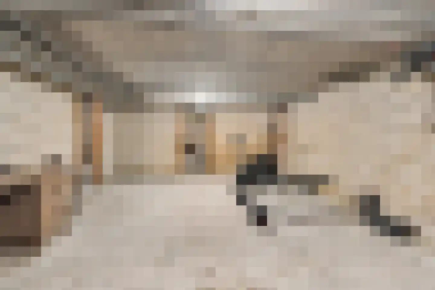 Heideweg 13 Didam thumbnail 54