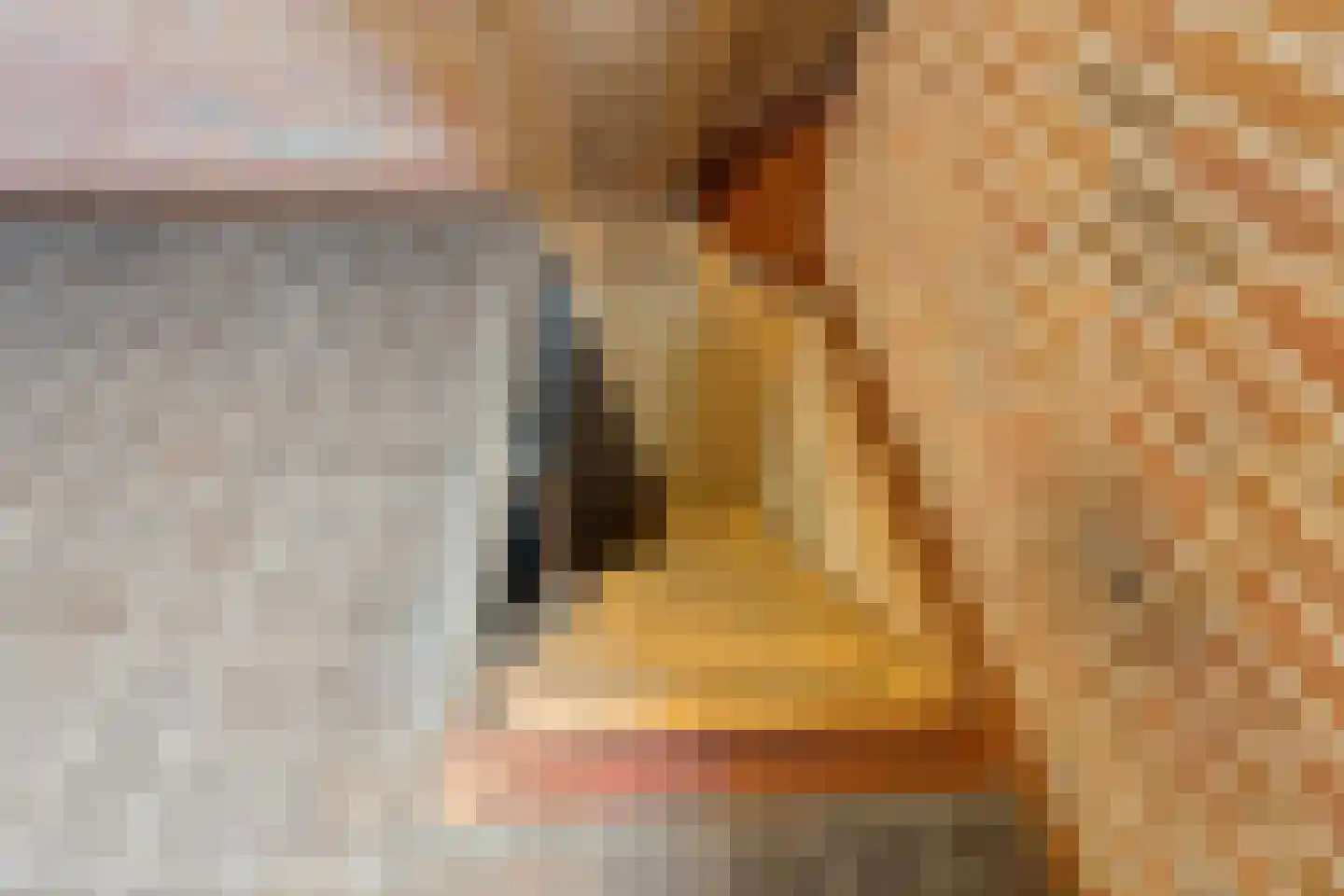 Heideweg 13 Didam thumbnail 64