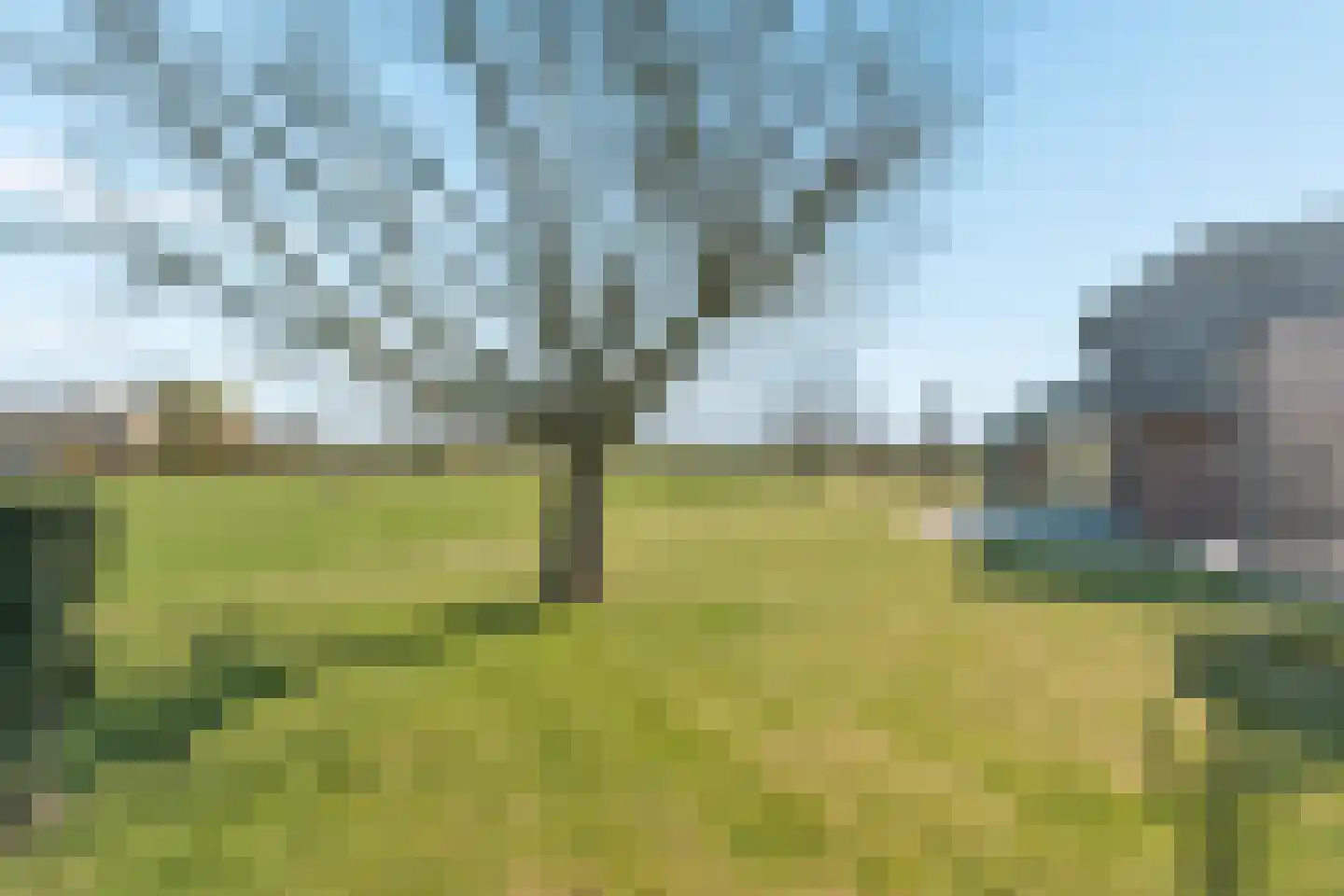 Heideweg 13 Didam thumbnail 90