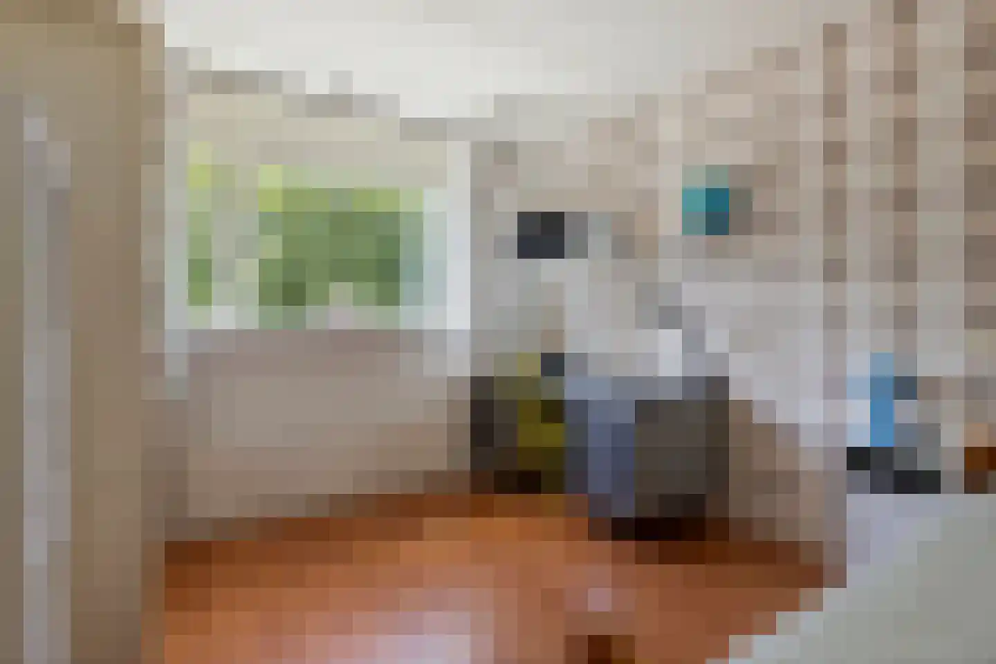 Heideweg 13 Elst Ut thumbnail 28