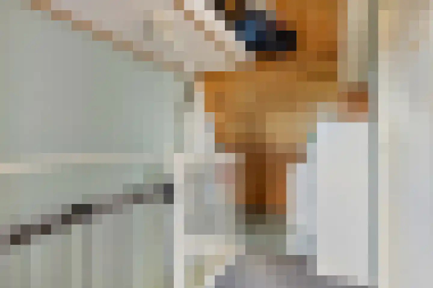 Heideweg 13 Elst Ut thumbnail 32