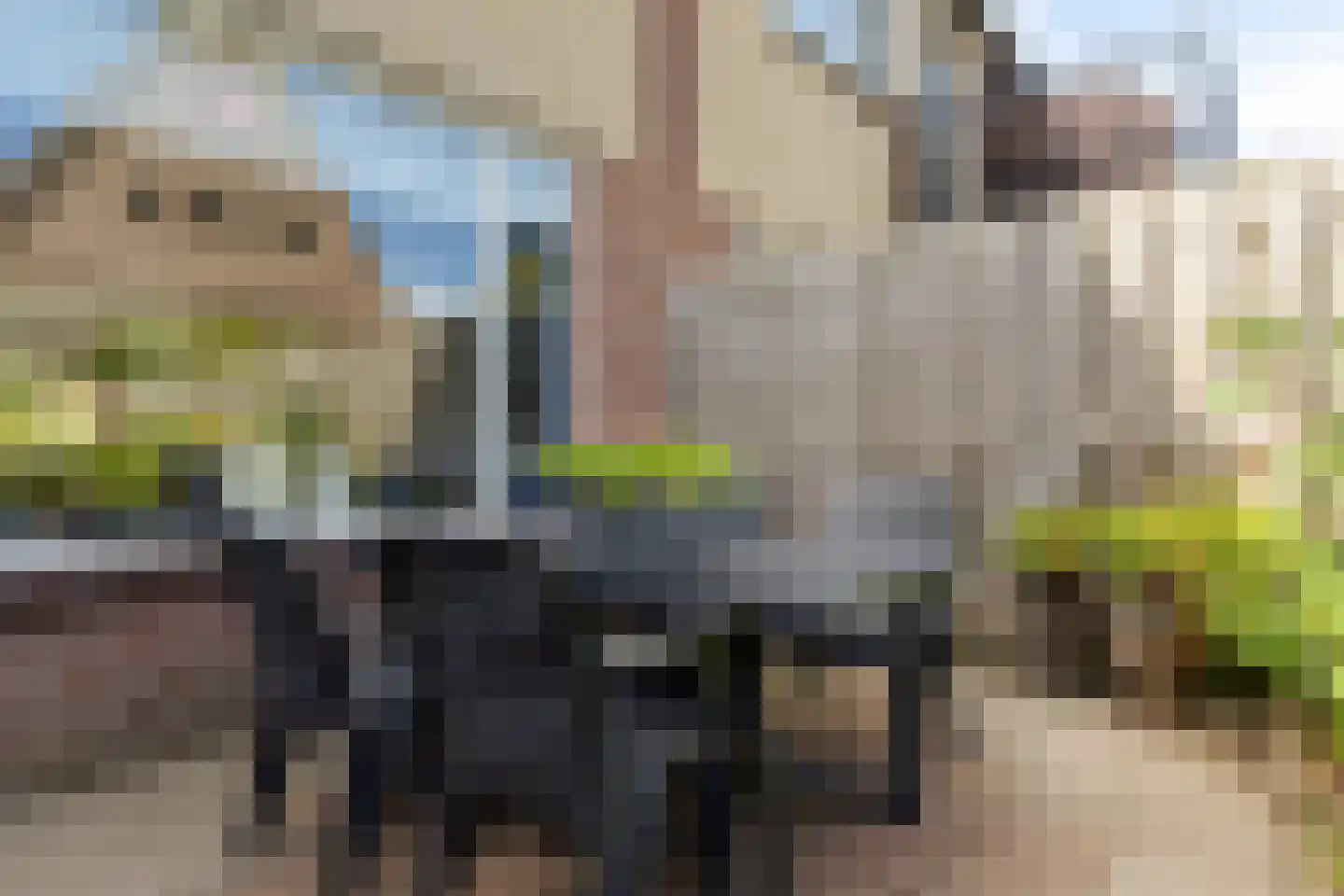 Heideweg 13 Elst Ut thumbnail 39