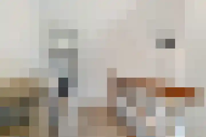 Heideweg 13 Maasbree thumbnail 30