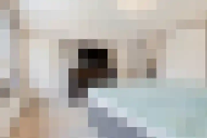 Heideweg 13 Maasbree thumbnail 33
