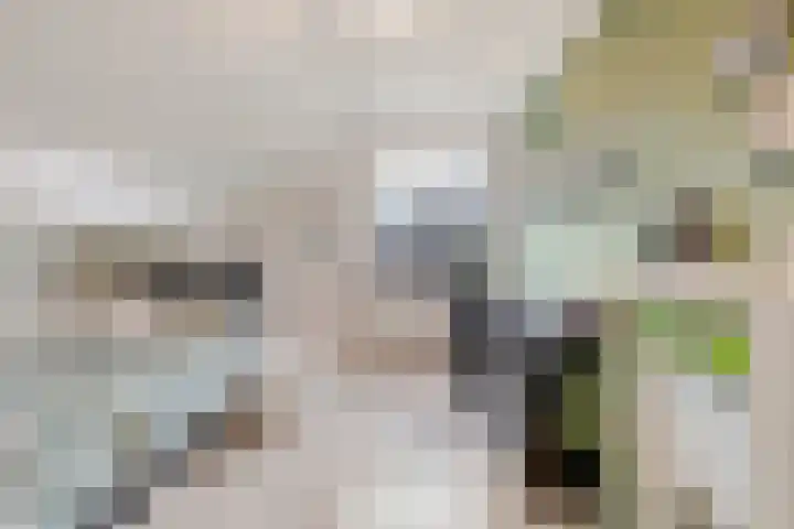 Heideweg 13 Maasbree thumbnail 35