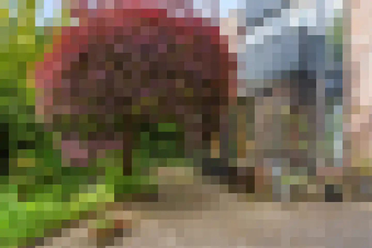 Heideweg 14 Arnhem thumbnail 29