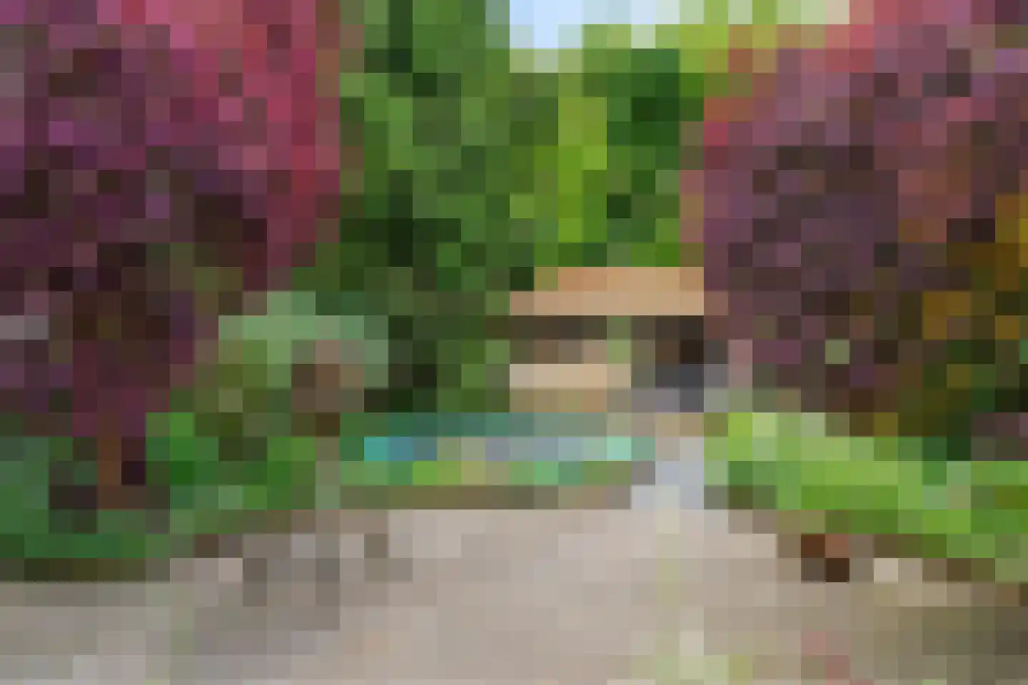 Heideweg 14 Arnhem thumbnail 30