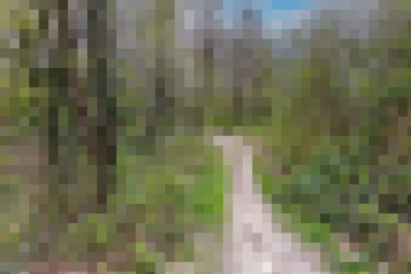Heideweg 14 Arnhem thumbnail 34