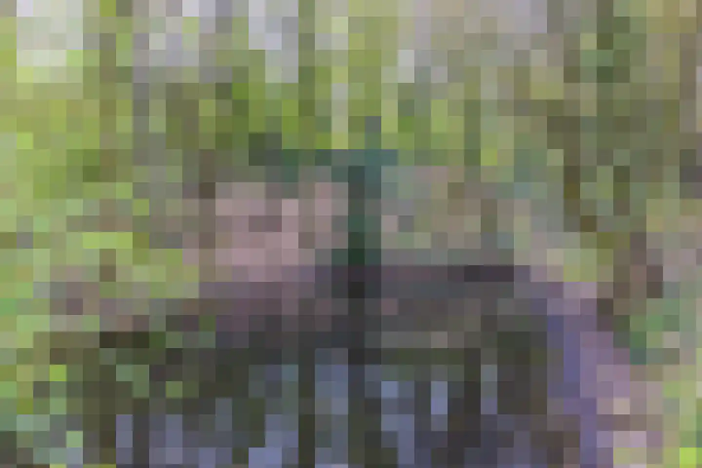 Heideweg 14 Arnhem thumbnail 35